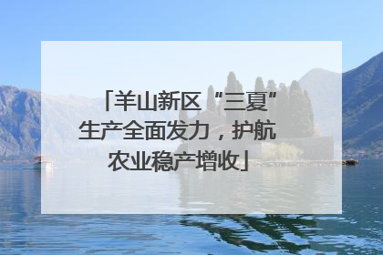 羊山新区“三夏”生产全面发力，护航农业稳产增收