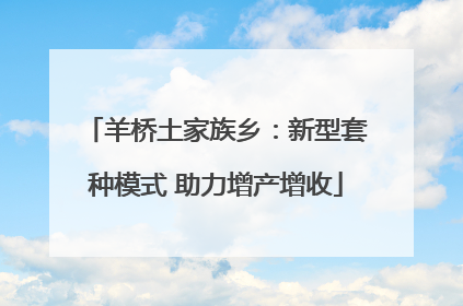 羊桥土家族乡：新型套种模式 助力增产增收