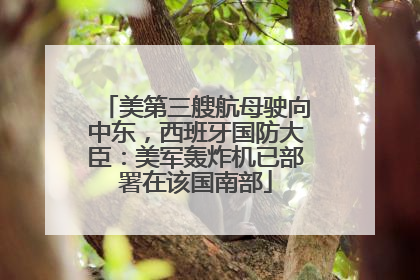 美第三艘航母驶向中东，西班牙国防大臣：美军轰炸机已部署在该国南部