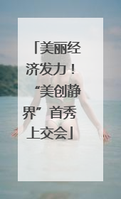 美丽经济发力！“美创静界”首秀上交会