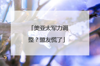 美亚太军力调整？盟友慌了