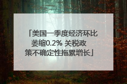 美国一季度经济环比萎缩0.2% 关税政策不确定性拖累增长