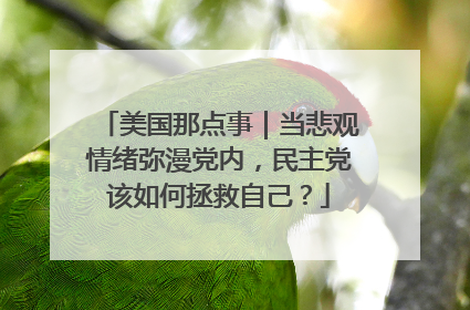 美国那点事｜当悲观情绪弥漫党内，民主党该如何拯救自己？