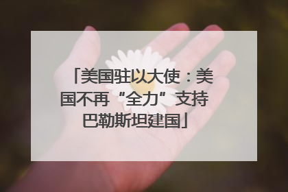 美国驻以大使：美国不再“全力”支持巴勒斯坦建国