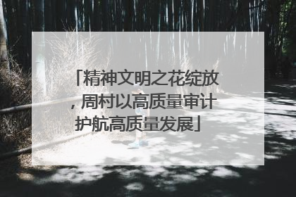 精神文明之花绽放，周村以高质量审计护航高质量发展