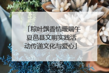 粽叶飘香情暖端午 夏邑县文明实践活动传递文化与爱心