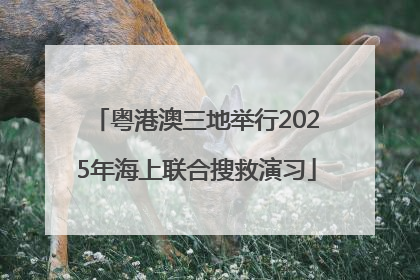 粤港澳三地举行2025年海上联合搜救演习