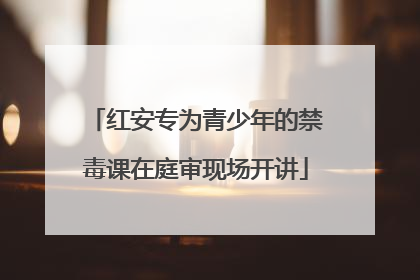 红安专为青少年的禁毒课在庭审现场开讲