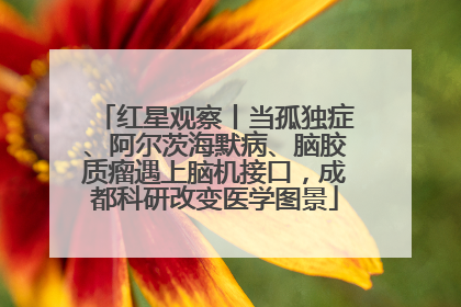 红星观察丨当孤独症、阿尔茨海默病、脑胶质瘤遇上脑机接口，成都科研改变医学图景