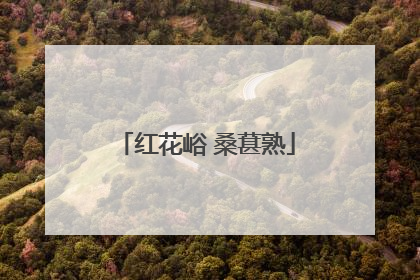 红花峪 桑葚熟