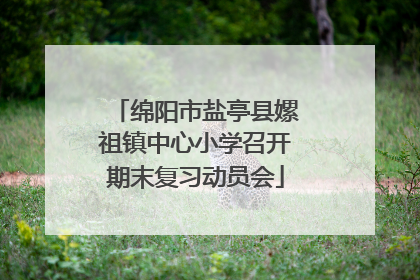 绵阳市盐亭县嫘祖镇中心小学召开期末复习动员会