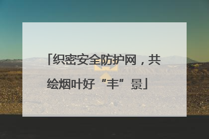 织密安全防护网，共绘烟叶好“丰”景