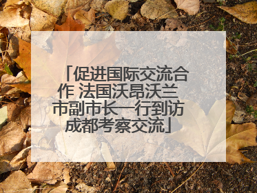 促进国际交流合作 法国沃昂沃兰市副市长一行到访成都考察交流