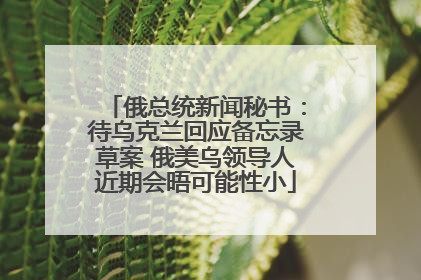 俄总统新闻秘书：待乌克兰回应备忘录草案 俄美乌领导人近期会晤可能性小