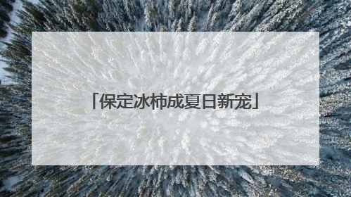 保定冰柿成夏日新宠