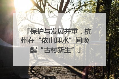 保护与发展并重，杭州在“依山理水”间唤醒“古村新生”