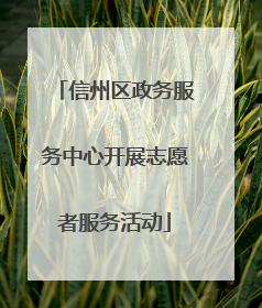 信州区政务服务中心开展志愿者服务活动
