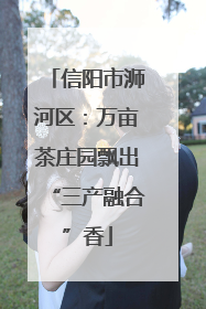 信阳市浉河区：万亩茶庄园飘出“三产融合”香