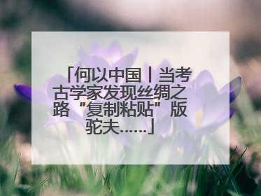 何以中国丨当考古学家发现丝绸之路“复制粘贴”版驼夫……