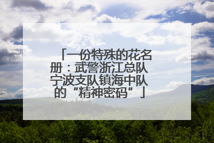 一份特殊的花名册：武警浙江总队宁波支队镇海中队的“精神密码”
