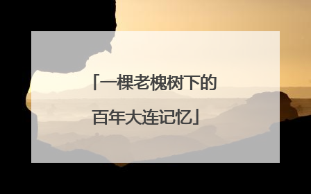 一棵老槐树下的百年大连记忆
