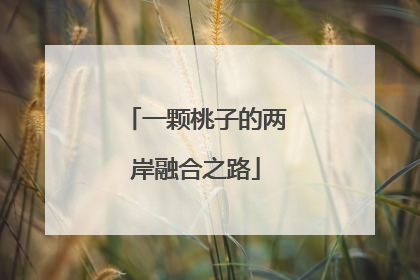 一颗桃子的两岸融合之路