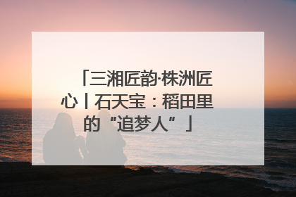 三湘匠韵·株洲匠心丨石天宝：稻田里的“追梦人”