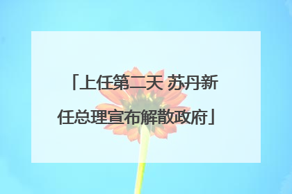 上任第二天 苏丹新任总理宣布解散政府
