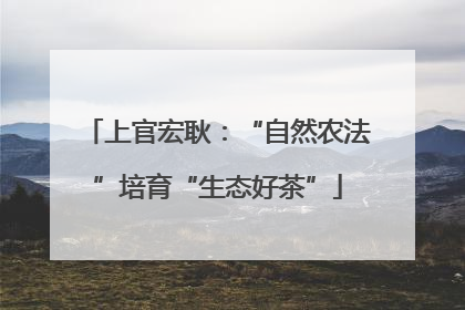 上官宏耿：“自然农法”培育“生态好茶”