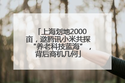 上海划地2000亩，邀腾讯小米共探“养老科技蓝海”，背后商机几何