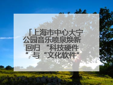 上海市中心大宁公园音乐喷泉焕新回归 “科技硬件”与“文化软件”完美融合