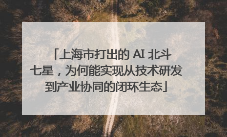 上海市打出的 AI 北斗七星，为何能实现从技术研发到产业协同的闭环生态
