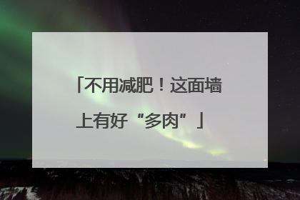 不用减肥！这面墙上有好“多肉”