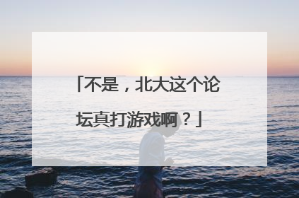 不是，北大这个论坛真打游戏啊？
