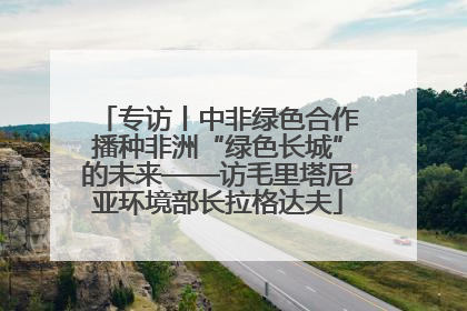 专访丨中非绿色合作播种非洲“绿色长城”的未来——访毛里塔尼亚环境部长拉格达夫