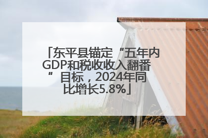 东平县锚定“五年内GDP和税收收入翻番”目标，2024年同比增长5.8%