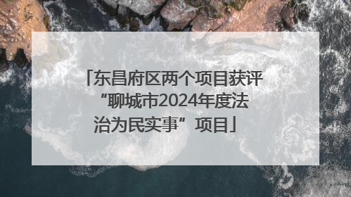 东昌府区两个项目获评“聊城市2024年度法治为民实事”项目