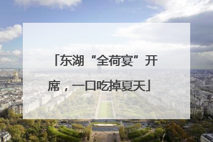 东湖“全荷宴”开席，一口吃掉夏天