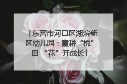 东营市河口区湖滨新区幼儿园：童耕“棉”田 “花”开成长