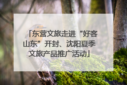 东营文旅走进“好客山东”开封、沈阳夏季文旅产品推广活动