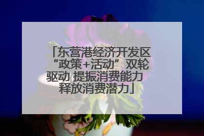 东营港经济开发区“政策+活动”双轮驱动 提振消费能力 释放消费潜力