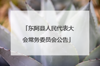 东阿县人民代表大会常务委员会公告