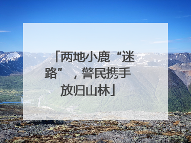 两地小鹿“迷路”，警民携手放归山林