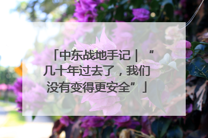 中东战地手记｜“几十年过去了，我们没有变得更安全”
