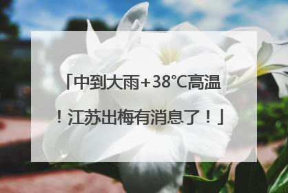 中到大雨+38℃高温！江苏出梅有消息了！