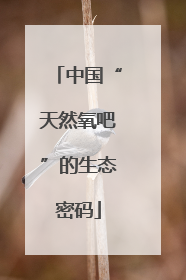 中国“天然氧吧”的生态密码