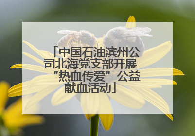 中国石油滨州公司北海党支部开展“热血传爱”公益献血活动