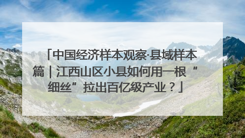 中国经济样本观察·县域样本篇｜江西山区小县如何用一根“细丝”拉出百亿级产业？