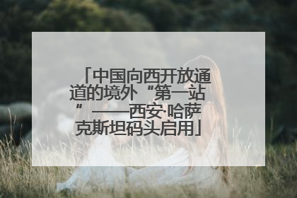 中国向西开放通道的境外“第一站”——西安·哈萨克斯坦码头启用