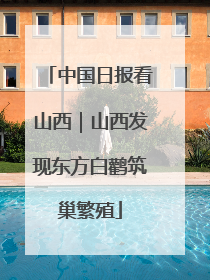 中国日报看山西｜山西发现东方白鹳筑巢繁殖